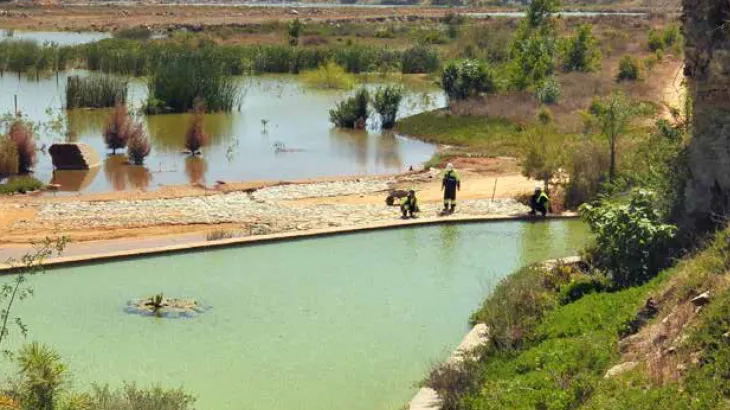 Rapports de développement durable Lafarge Ciments